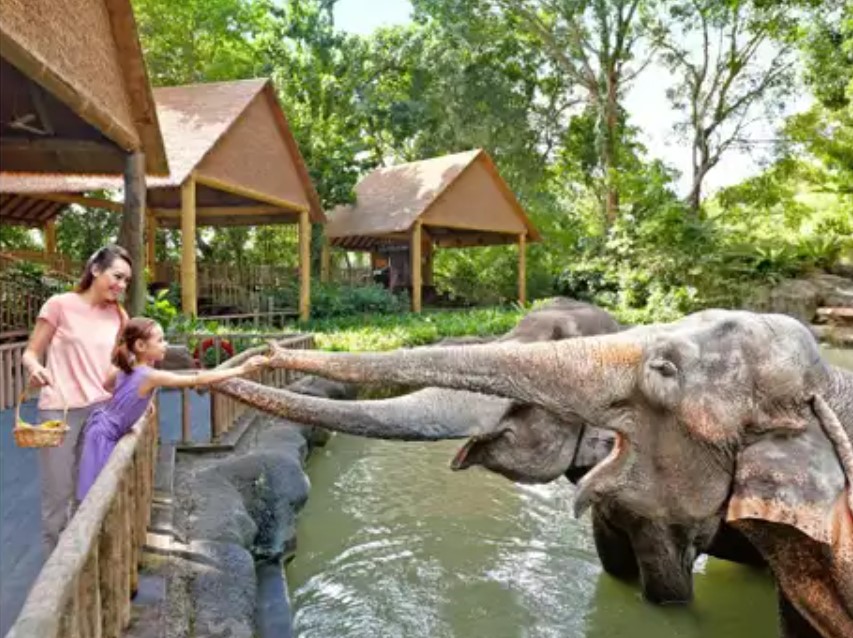 Things You Definitely Not Miss For an Enjoyable Zoo Trip With Your Loved Ones