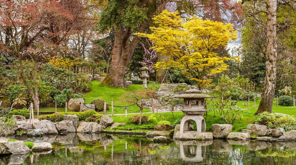 Green Oases: Exploring London’s Lesser-Known Parks and Gardens